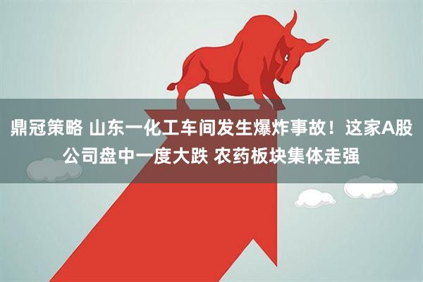 鼎冠策略 山东一化工车间发生爆炸事故！这家A股公司盘中一度大跌 农药板块集体走强